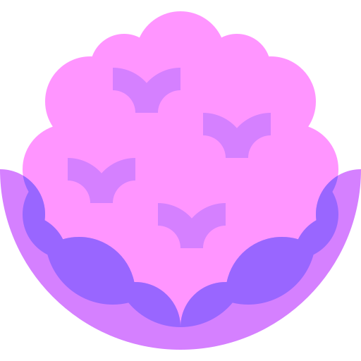 Cauliflower Basic Sheer Flat icon