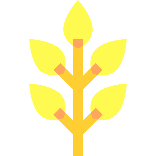 Moringa Basic Sheer Flat icon