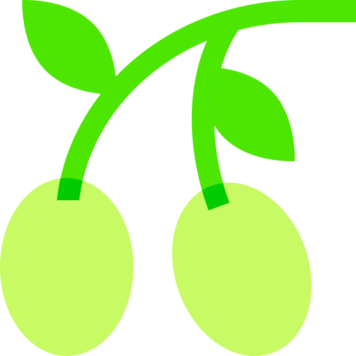 Olive Basic Sheer Flat icon