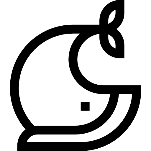 wieloryb Basic Straight Lineal ikona