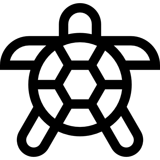 tartaruga Basic Straight Lineal icona