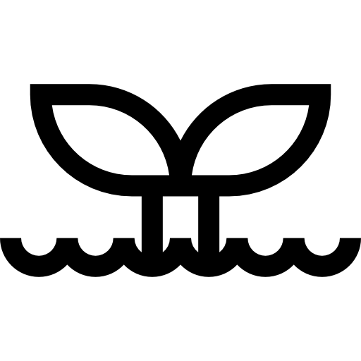 wieloryb Basic Straight Lineal ikona