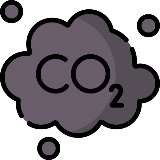 co2 Special Lineal color icon