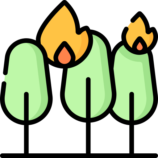 Wildfire Special Lineal color icon