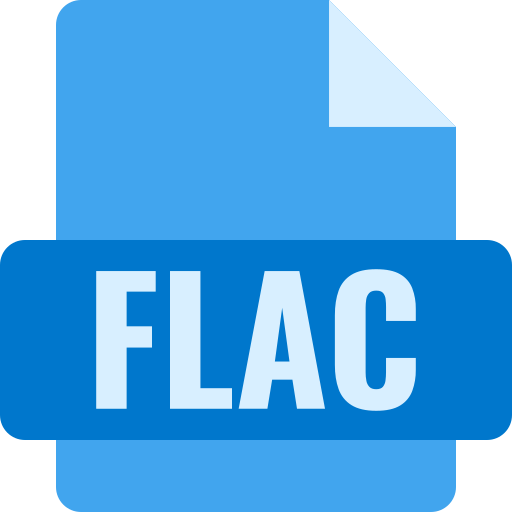 flac Generic Flat Icône