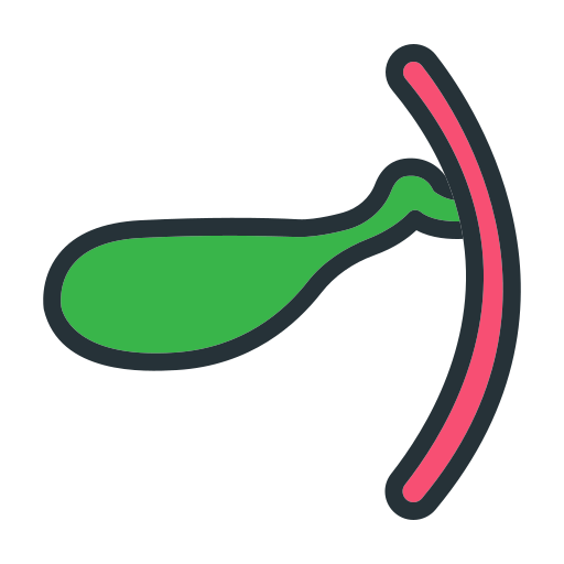 organo del corpo Generic Outline Color icona