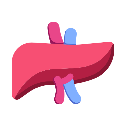 体の器官 Generic Flat icon