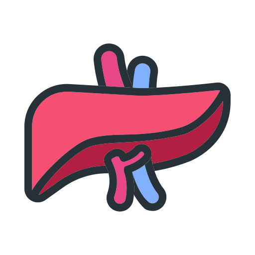 Órgano del cuerpo Generic Outline Color icono