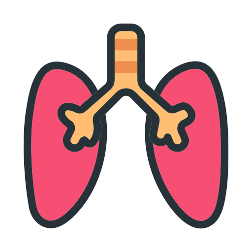 体の器官 Generic Outline Color icon