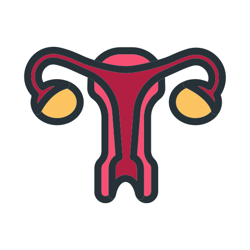 Uterus Generic Outline Color icon