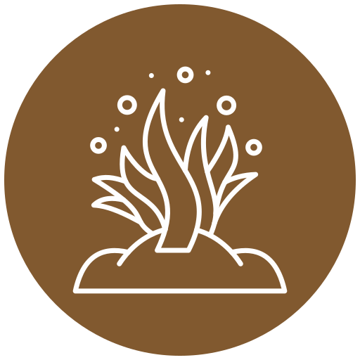 海藻 Generic Flat icon