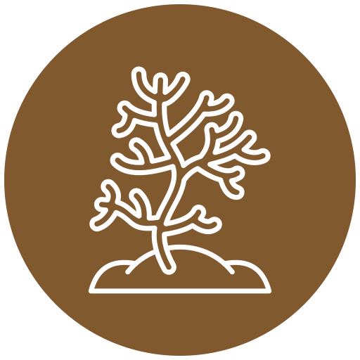 coral Generic Flat icono