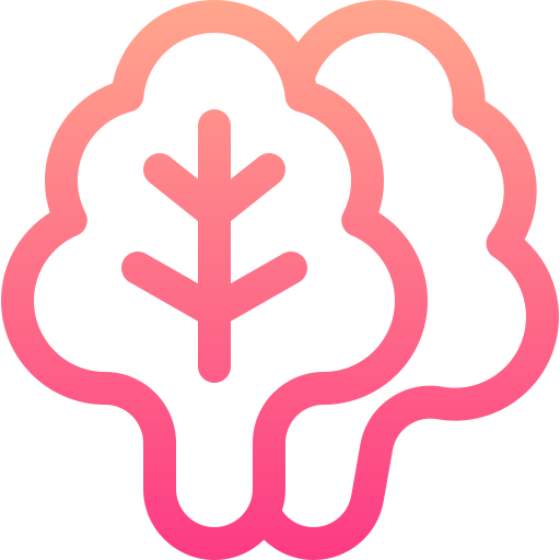 상추 Basic Gradient Lineal color icon