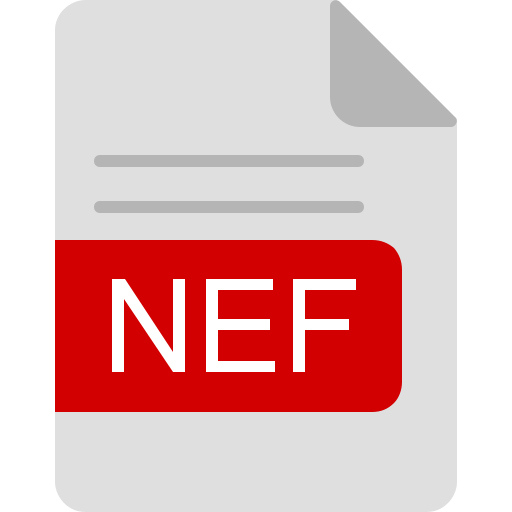 nef Generic Flat icon
