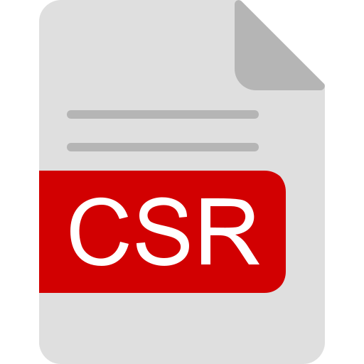 csr-bestandsindeling Generic Flat icoon