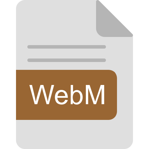 webm Generic Flat Icône