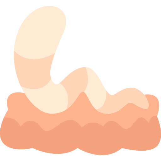 worm Generic Flat icoon