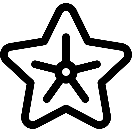 rozgwiazda Basic Rounded Lineal ikona