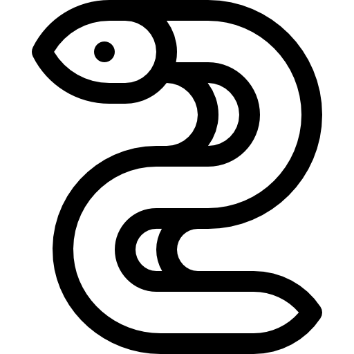 anguila Basic Rounded Lineal icono