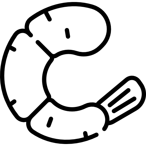 camarón Kawaii Lineal icono