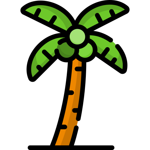 drzewo kokosowe Special Lineal color ikona