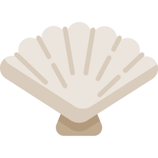 Shell Special Flat icon