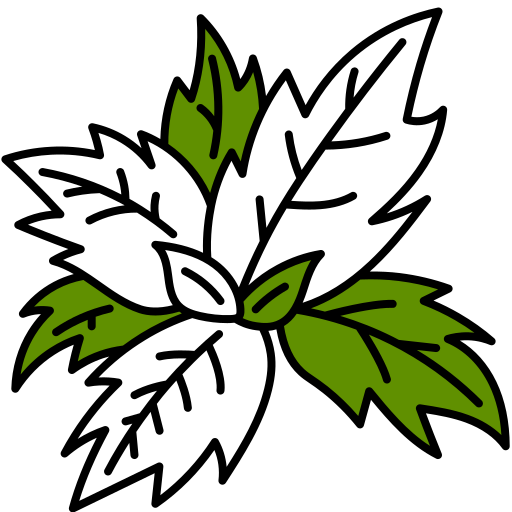 Basil Generic Fill & Lineal icon