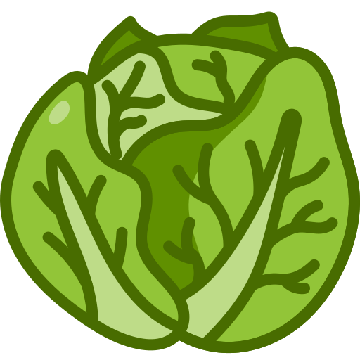Cabbage  Generic Outline Color icon