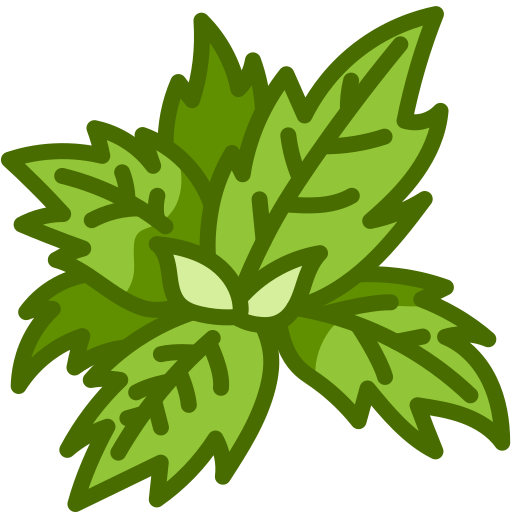 Basil Generic Outline Color icon