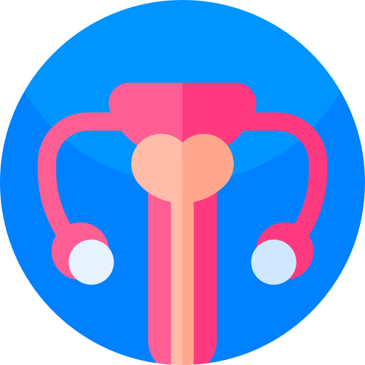 Uterus Geometric Flat Circular Flat icon