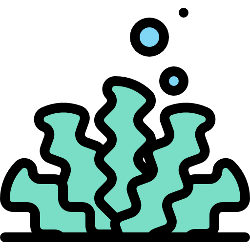 海藻 Detailed Rounded Lineal color icon