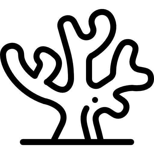 コーラル Detailed Rounded Lineal icon