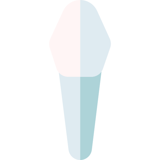 Primary canine tooth Basic Rounded Flat icon
