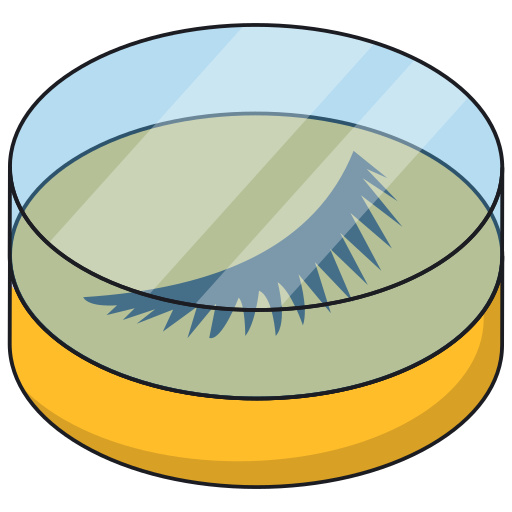 Eyelashes Generic Isometric icon