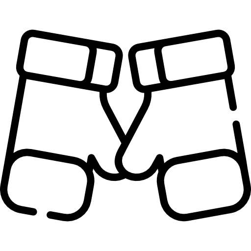 ボクシンググローブ Special Lineal icon