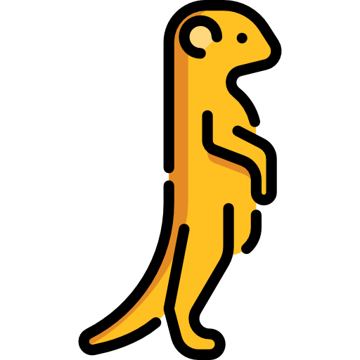 suricata Special Lineal color icono
