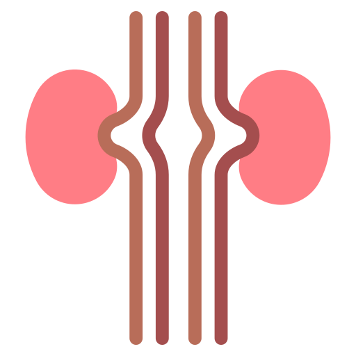 腎臓 Generic Flat icon