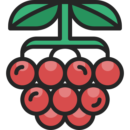 Berry Generic Outline Color icon