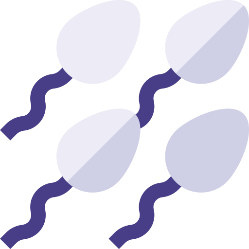 Sperm Basic Straight Flat icon