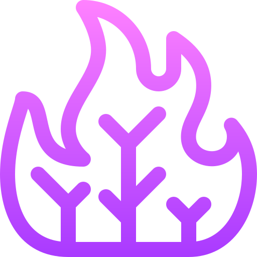Forest fire Basic Gradient Lineal color icon