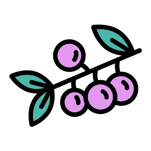 beeren Generic Outline Color icon