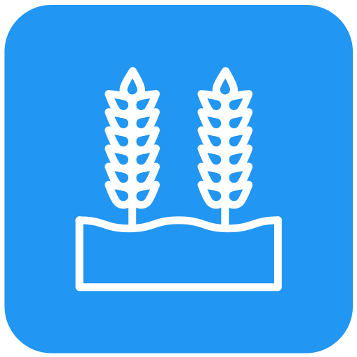 grano de trigo Generic Square icono