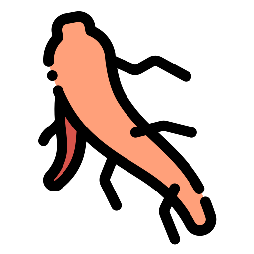 Ginseng Generic Outline Color icon