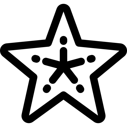 estrella de mar Basic Rounded Lineal icono
