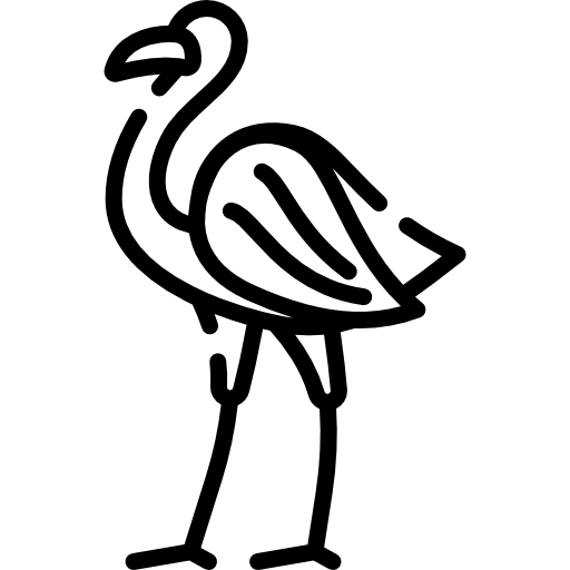 フラミンゴ Special Lineal icon