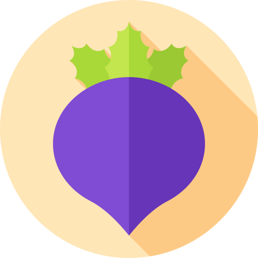 Beetroot Flat Circular Flat icon