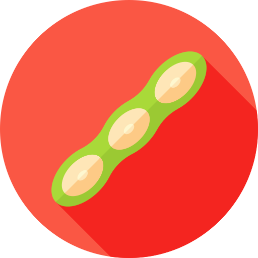 콩 Flat Circular Flat icon