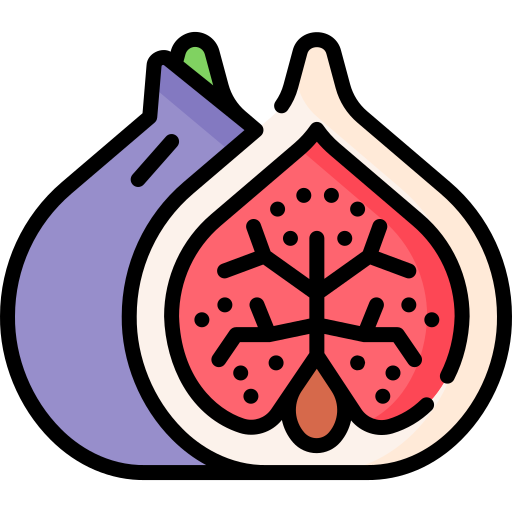Fig Special Lineal color icon