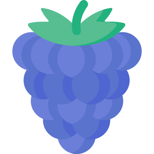 Raspberry Special Flat icon