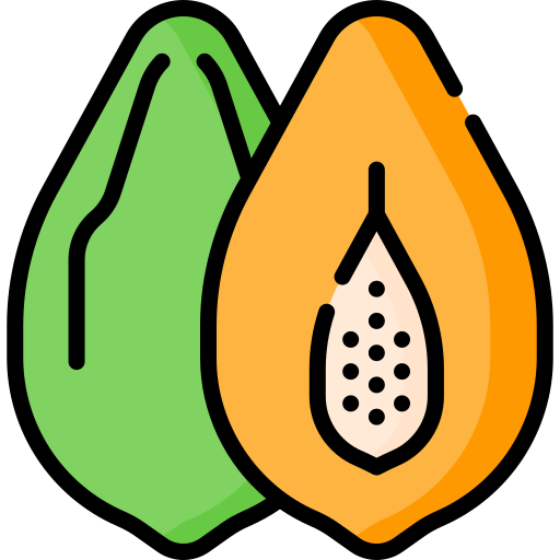 Fruit Special Lineal color icon